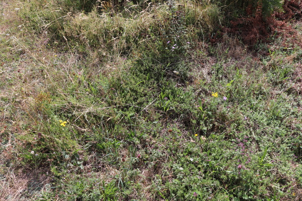 Serie Retour Du Drama Allemand Berlin 59 Vintage Rock Et Fureur