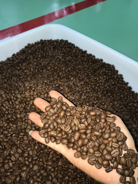 Phân phối Caffe Arabica(Từ Điện Biên) & Caffe Robusta (Đắk Lắk) giá rẻ - 4