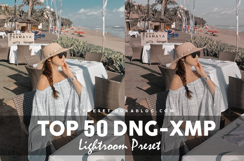 Preview Free 50+ Lightroom Preset Pack XMP & DNG