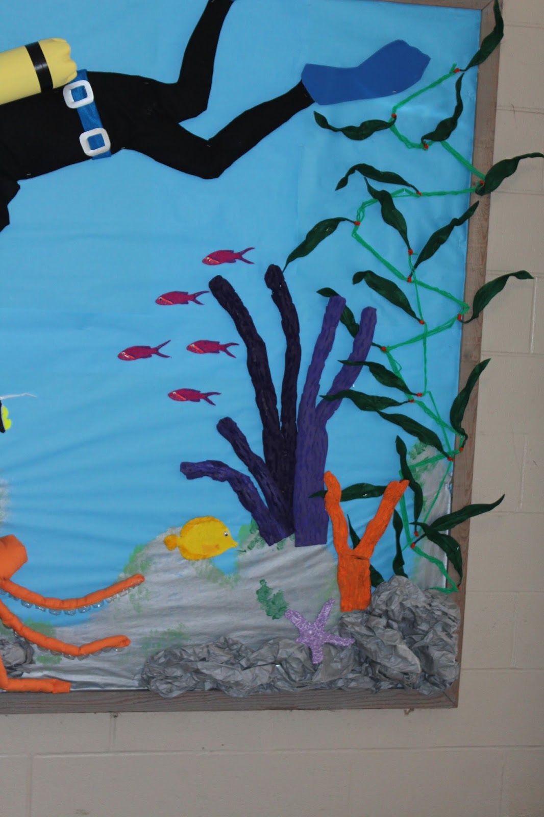 School Bulletin Boards Underwater Tropical Ocean Scuba Diver School