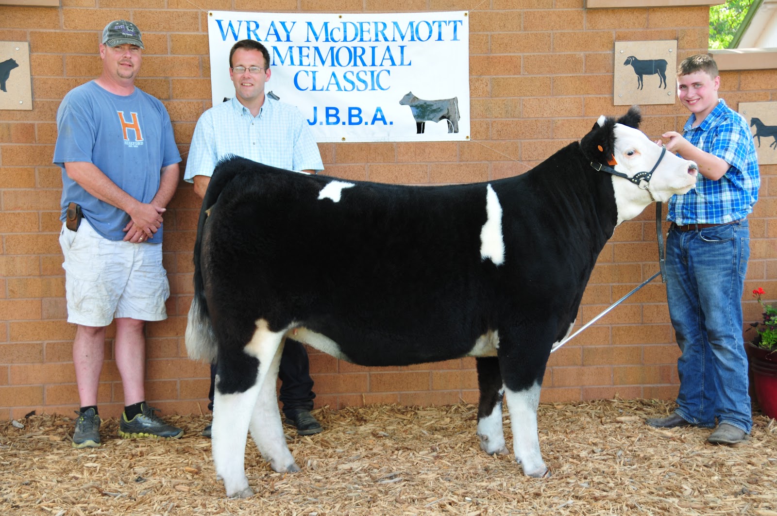 Trausch Farms Beeler Cattle Company, Truro, Iowa