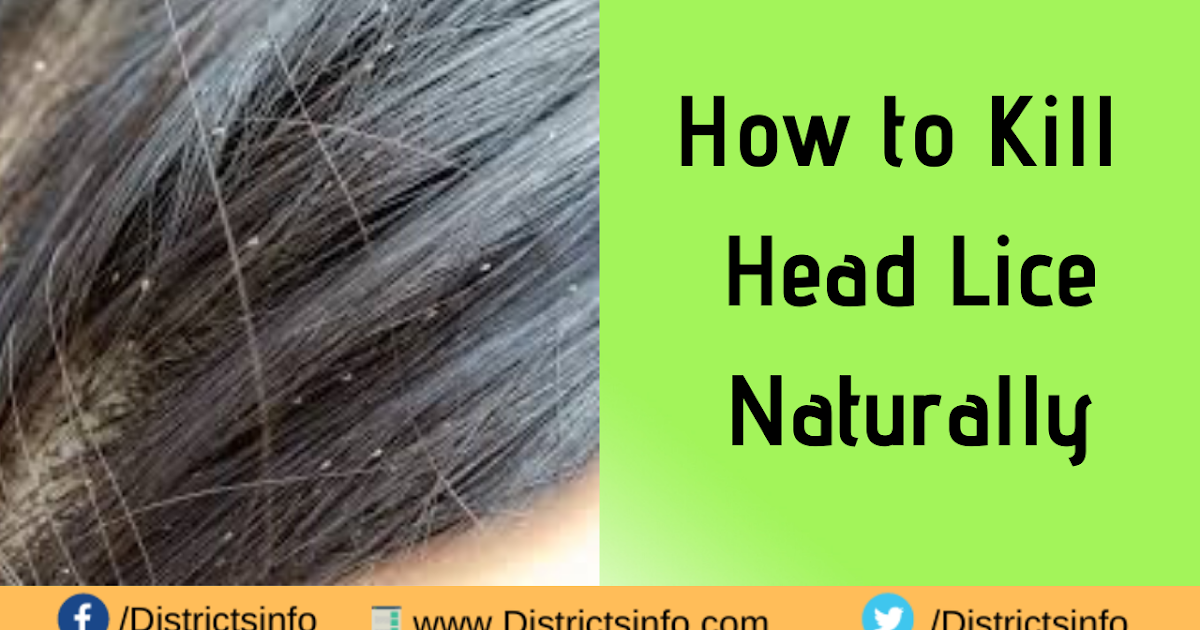 How to Kill Head Lice Naturally