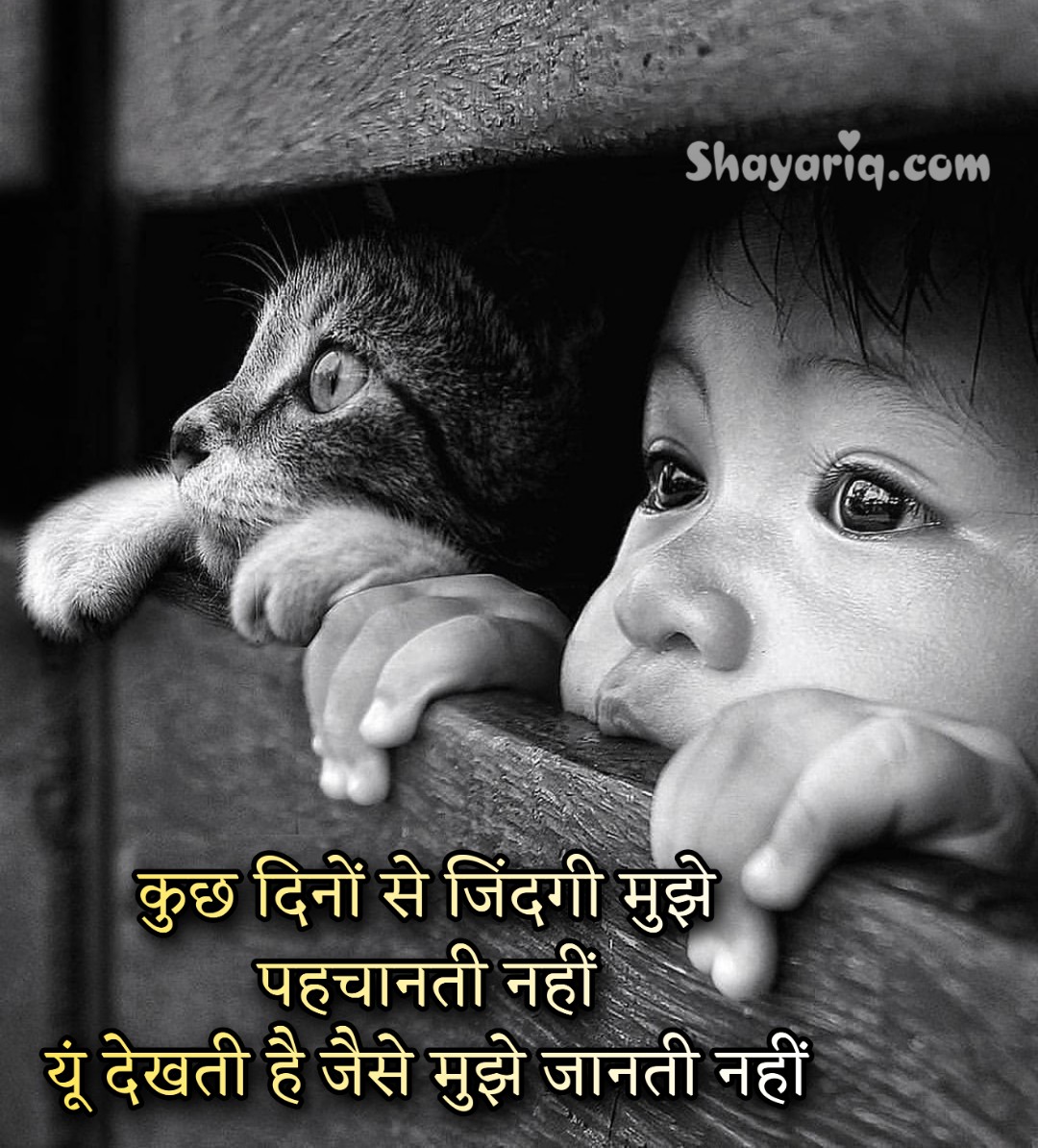 hindi shayari wallpaper for whatsapp – Hindi Shayari Dil Se