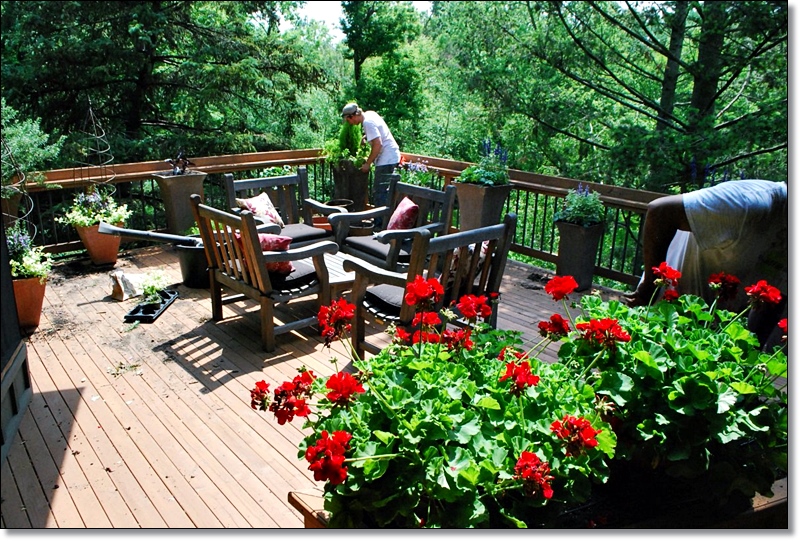 Deck Decorating Ideas With Plants