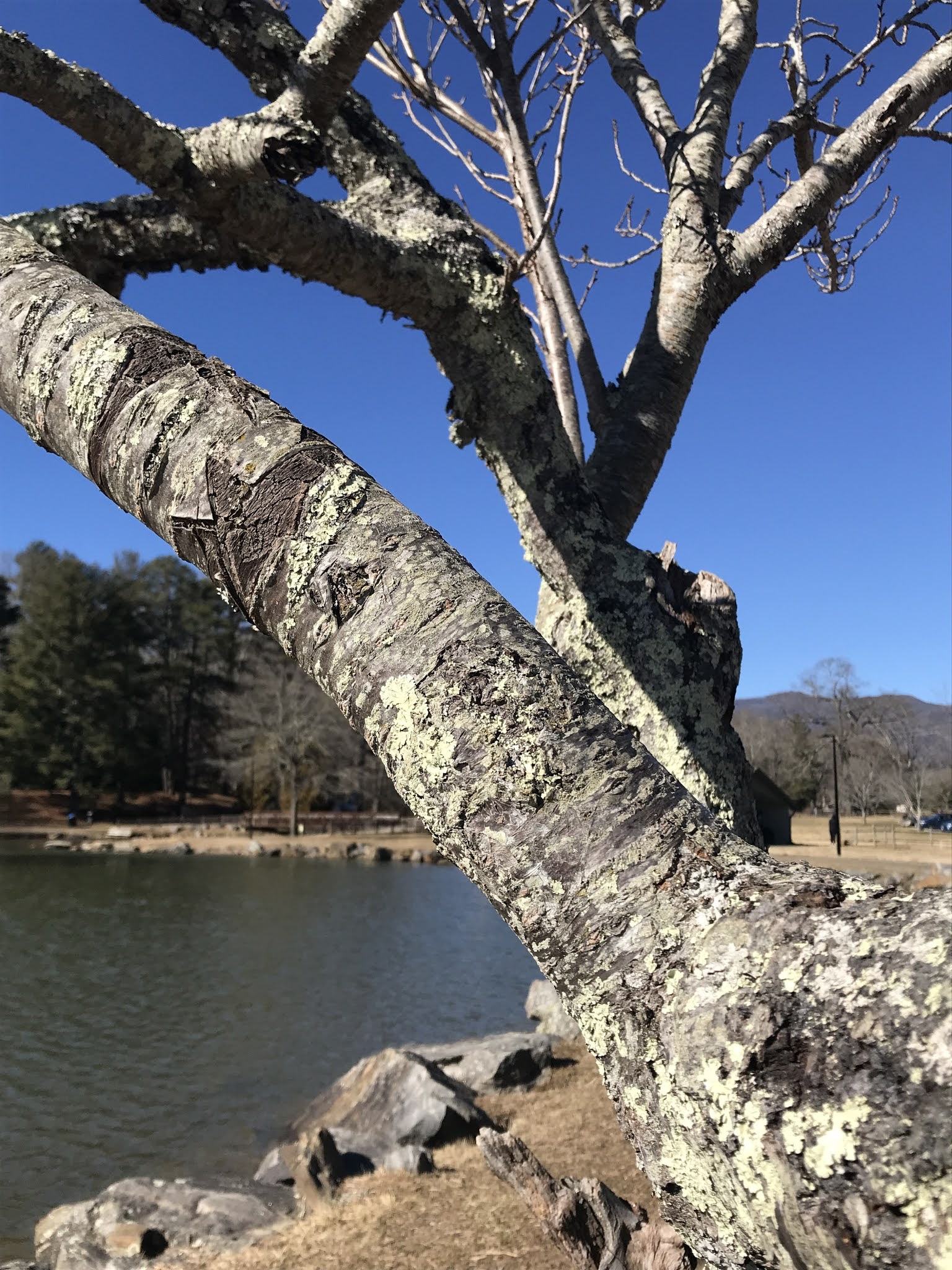 When I was 69 (now 80) Jan 23 at Lake Tomahawk