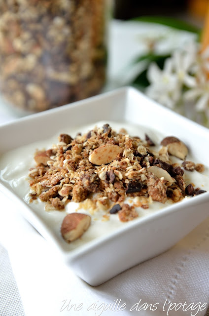 Granola à la noix de coco et éclats de cacao 