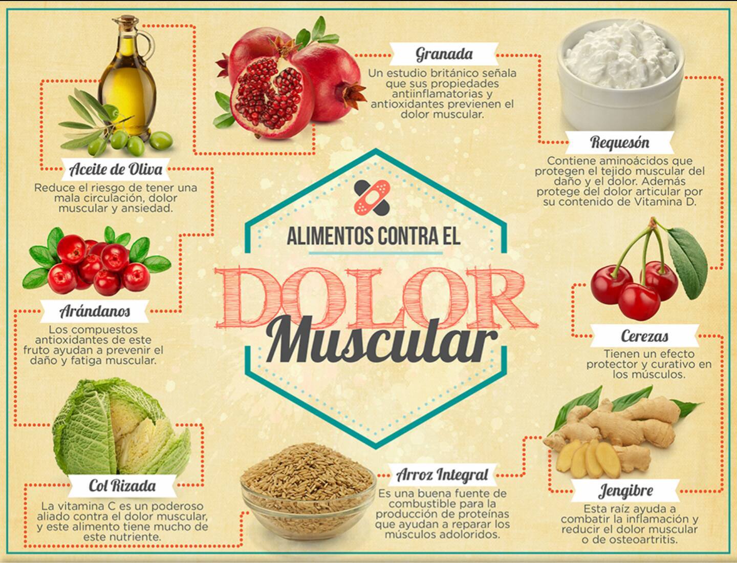 COMO CUIDARSE CUANDO ESTAS CUIDANDO Alimentos contra el dolor muscular