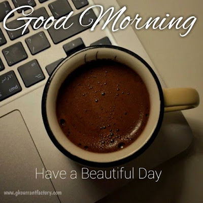 Beautiful Good Morning Coffee Images, Pics With Love Free Download Good Morning Coffee Images, Good Morning Coffee Pic, Good Morning Images Of coffee, Good Morning Images Coffee, Good Morning coffee Love, Good Morning Images With Hot Coffee Free Download