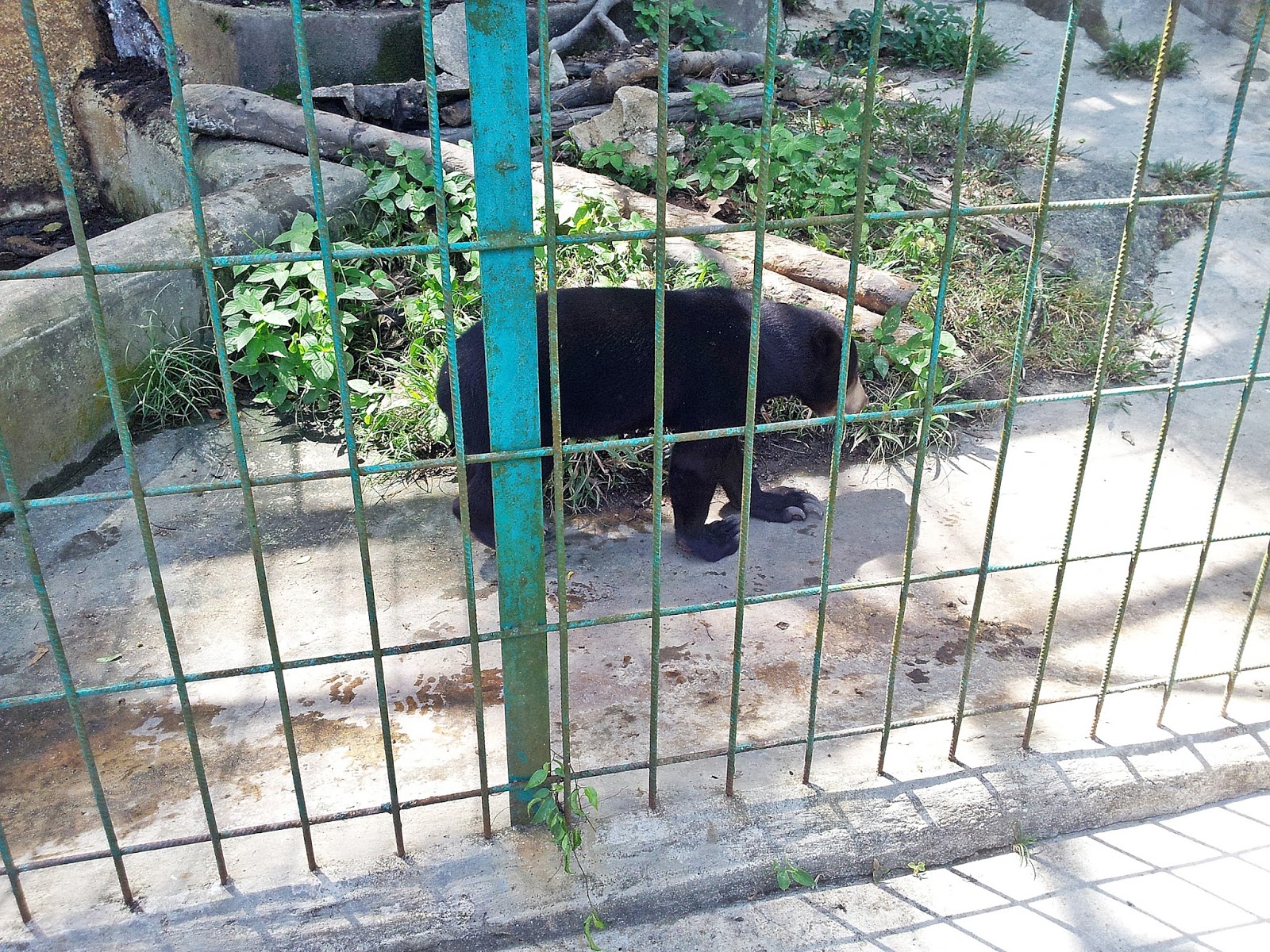 MINI ZOO TERUNTUM KUANTAN PAHANG BLOG MUMMYINTHEHOUSE
