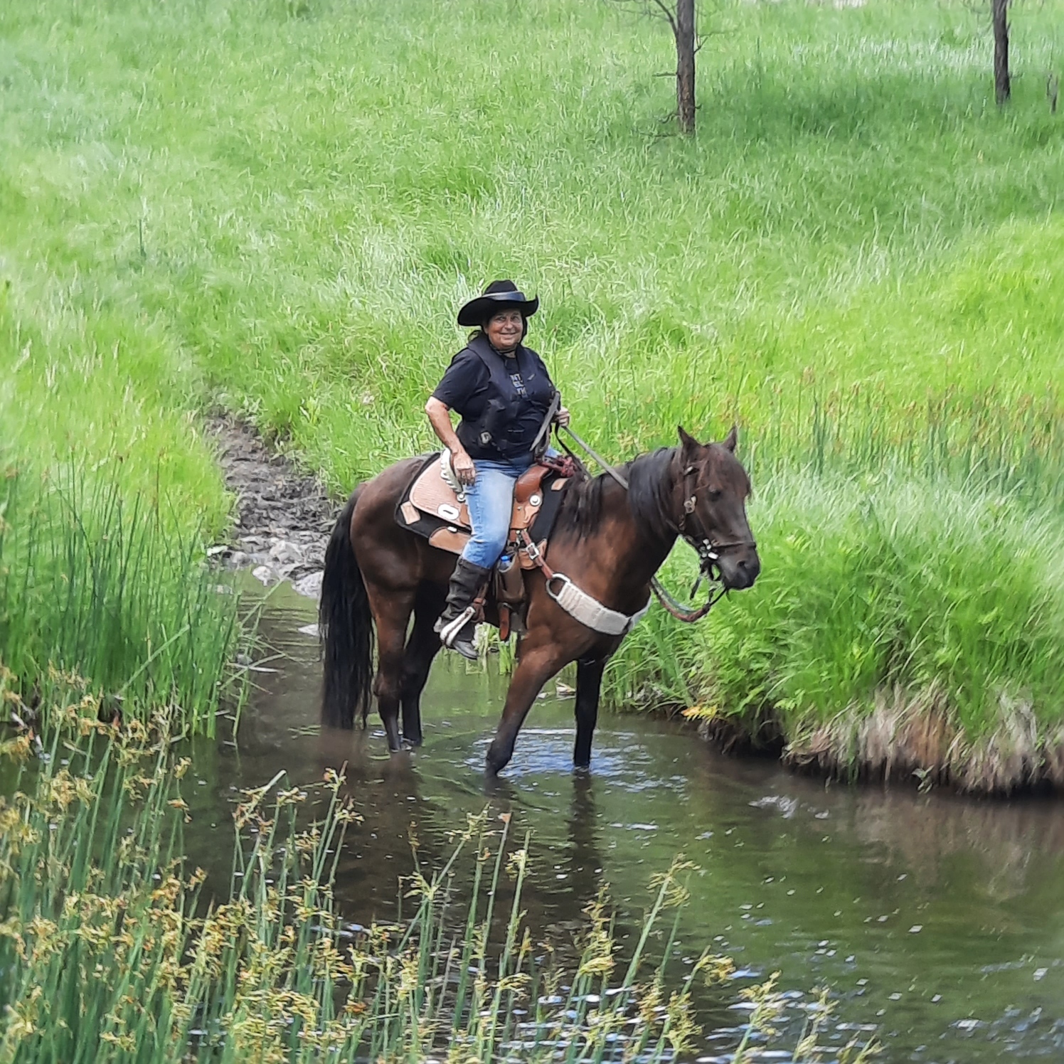 On the Trails French Creek Horse Camp Custer, South Dakota