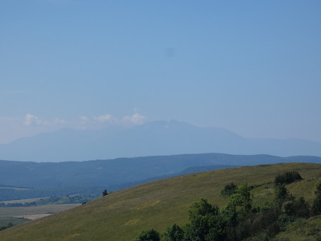 Le massif du Canigou dans la purée de petits pois.
