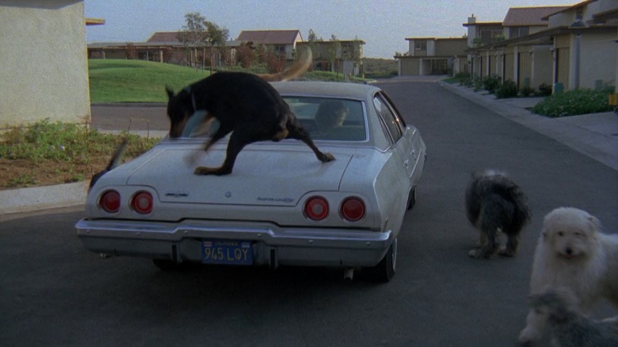 A REVOLTA DOS CÃES / CÃES ASSASSINOS (DUBLADO/1080P) – 1976 FormatFactoryA%2BRevolta%2BDos%2B%2Bcaes1976%2Bdub.mkv_snapshot_01.26.17.297