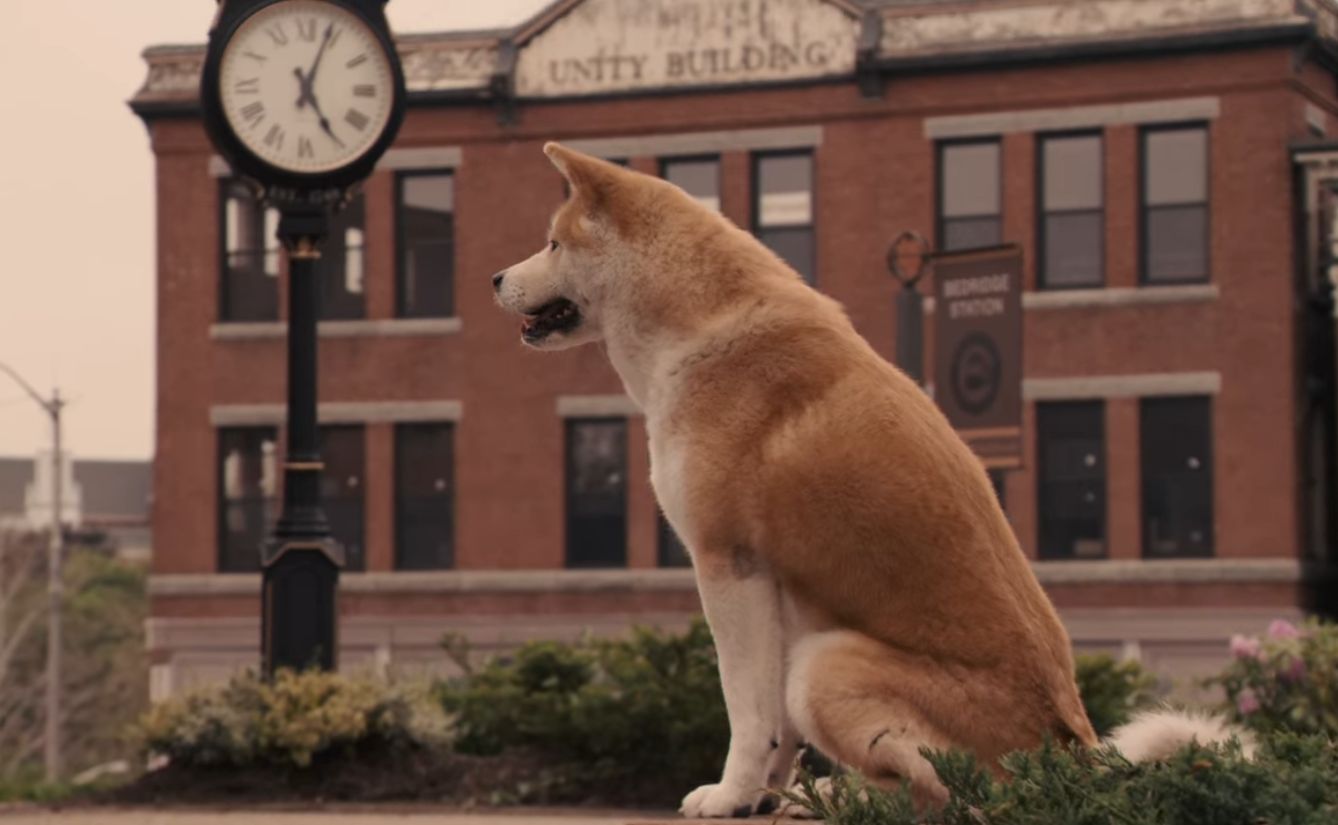 Hachi: A Dog's Tale