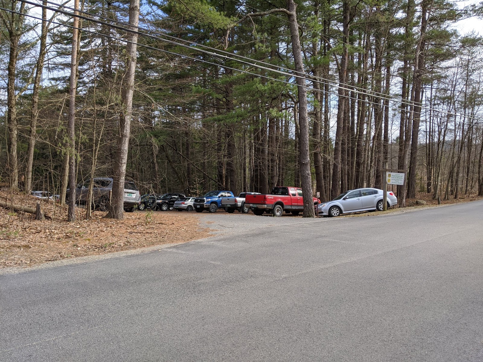 Vernon VT Nature Finds Open Season for Trout; What are They Fishing For?