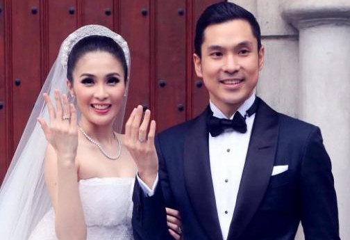 Profil Biodata Harvey Moeis Suami Artis Sandra Dewi