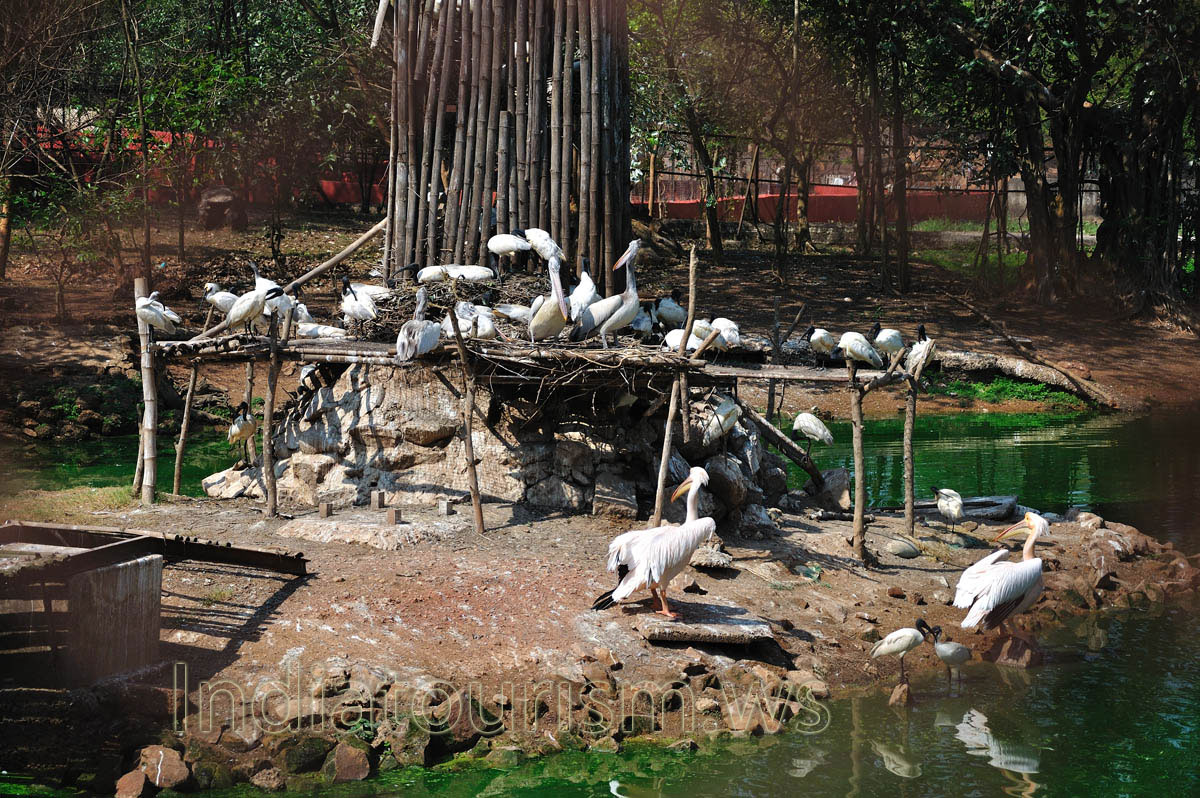 зоопарк внутри московский зоопарк. московский зоопарк краснопресненская. московский зоопарк вольер. московский зоопарк сейчас. дети в зоопарке.