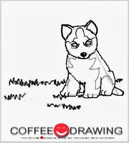 baby husky coloring pages - photo #19