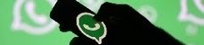 Batbase no Whatsapp