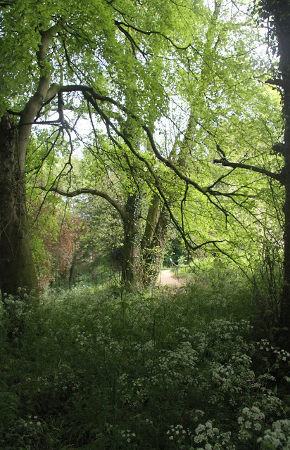 Tolkien Tours of East Yorkshire