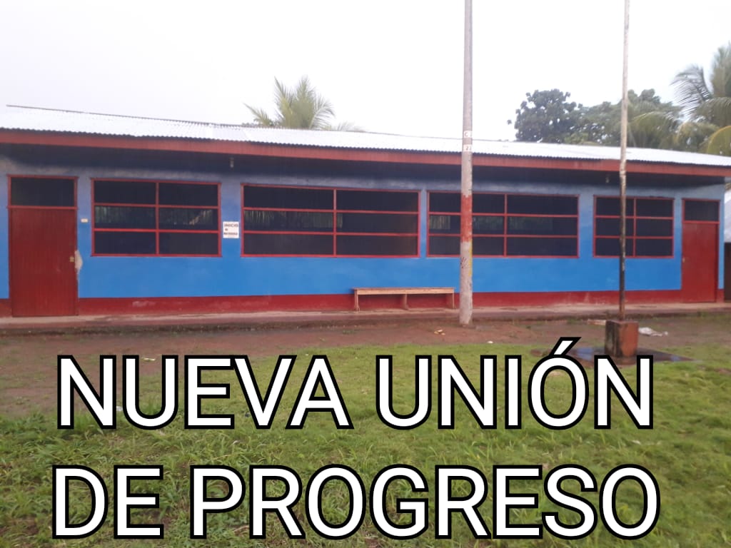 Inicial 394 - Nueva Unión de Progreso