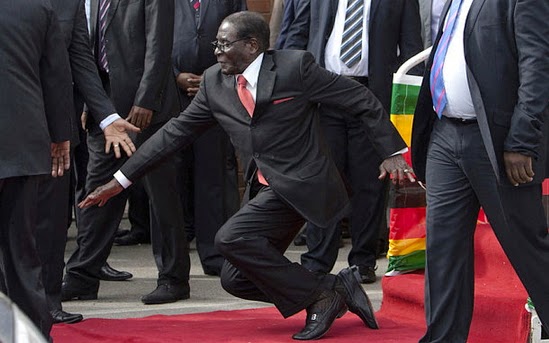 robert mugabe tumbles fell