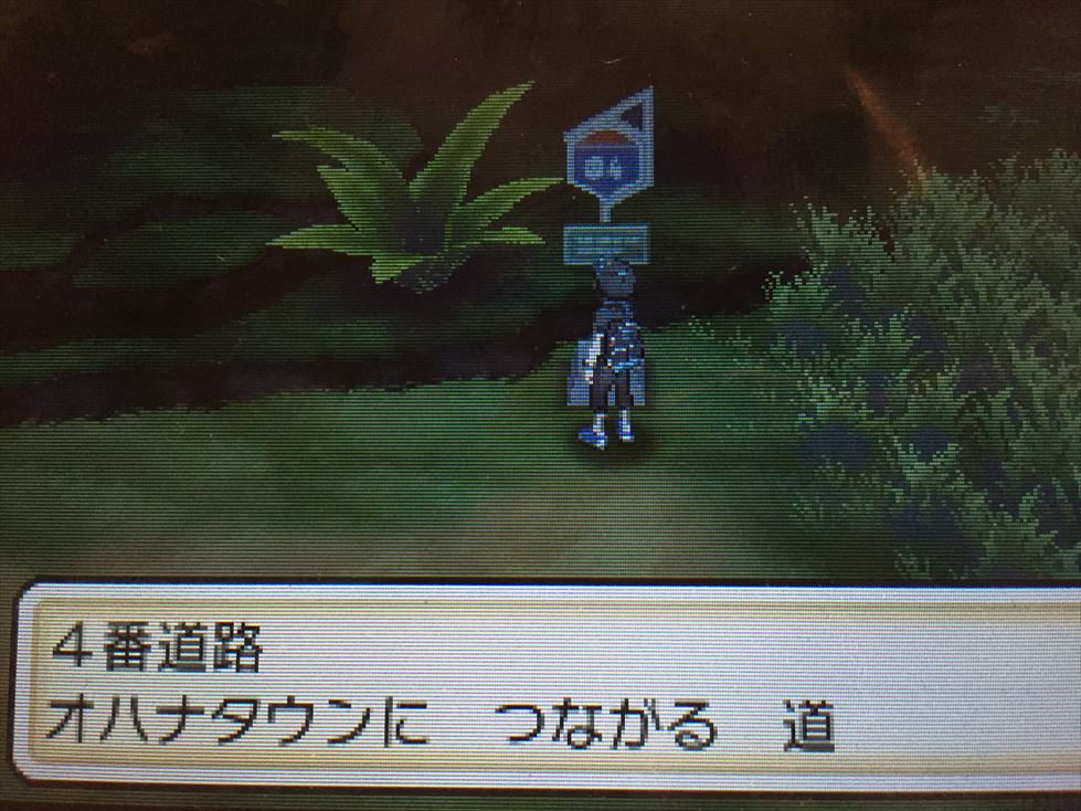 ポケさんぽ ポケットモンスター サン 5 アーカラ島 カンタイシティ スイレンの試練 3ds