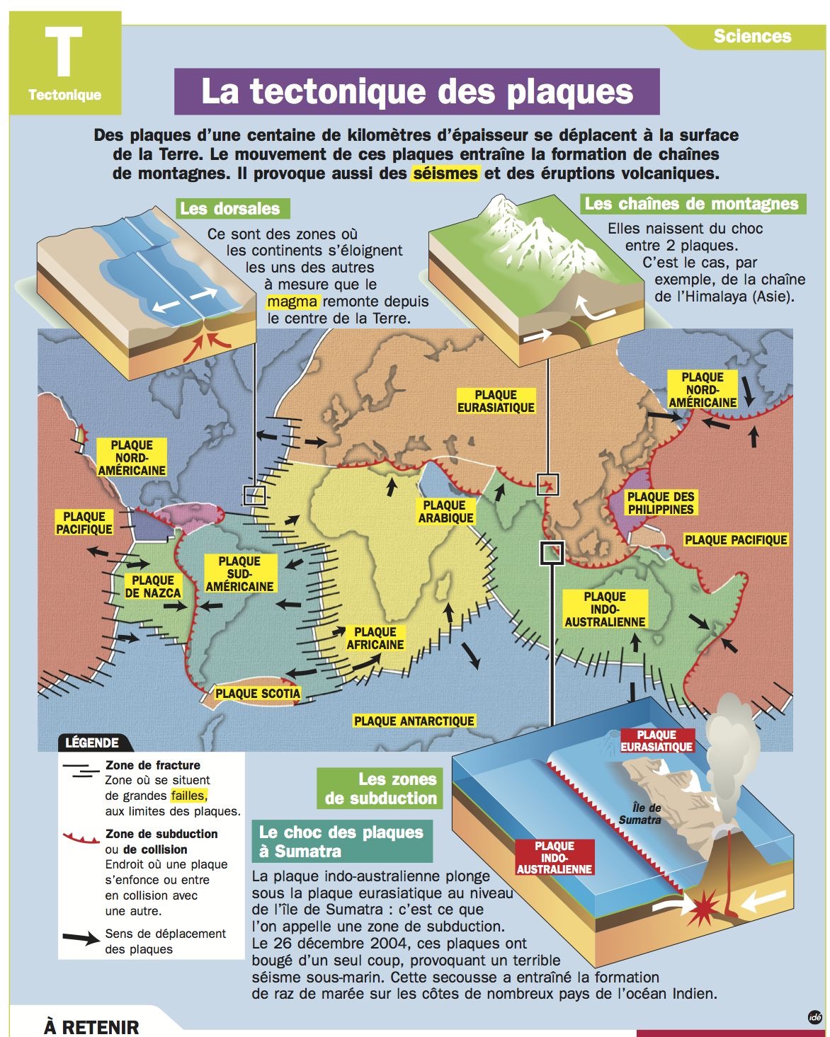 La Tectonique des Plaques