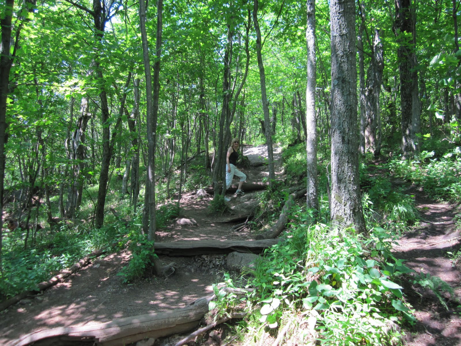 Asthma and the Gift of Running Mont StHilaire...lovely trails!