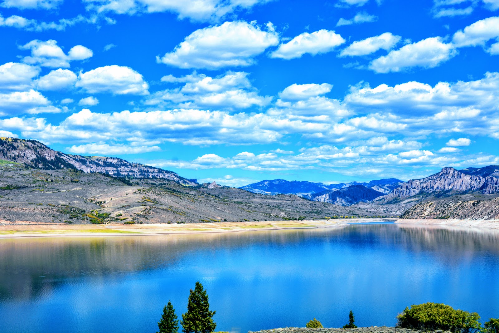 Mille Fiori Favoriti The Curecanti National Recreation Area and Blue