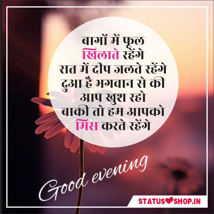 200+ Best Good Evening Quotes in Hindi | Good Evening Images | Status Shop