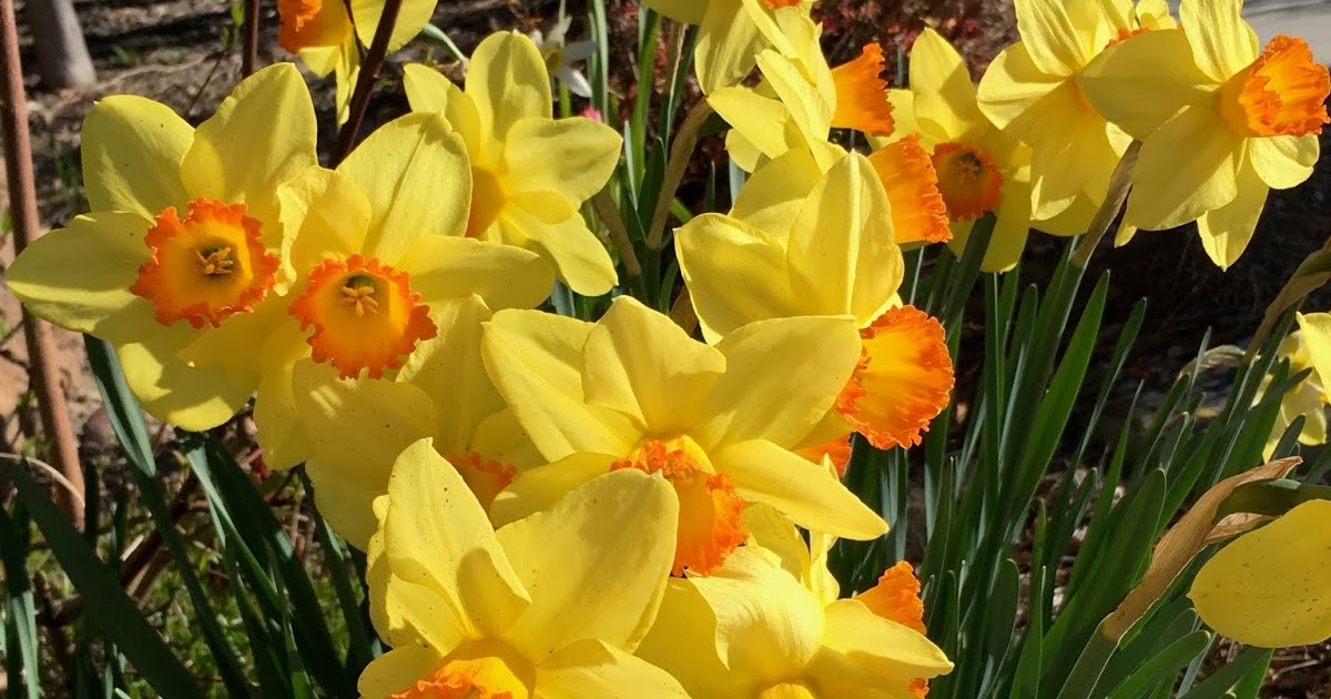 Galbraith Gab: Looks Like Spring