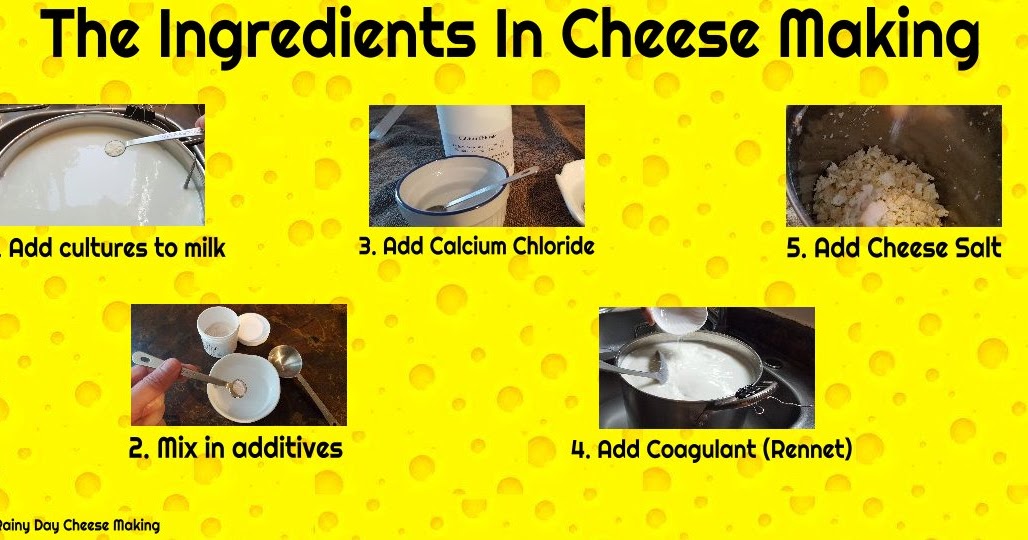RAINY DAY CHEESE MAKING Cheese Making Ingredients