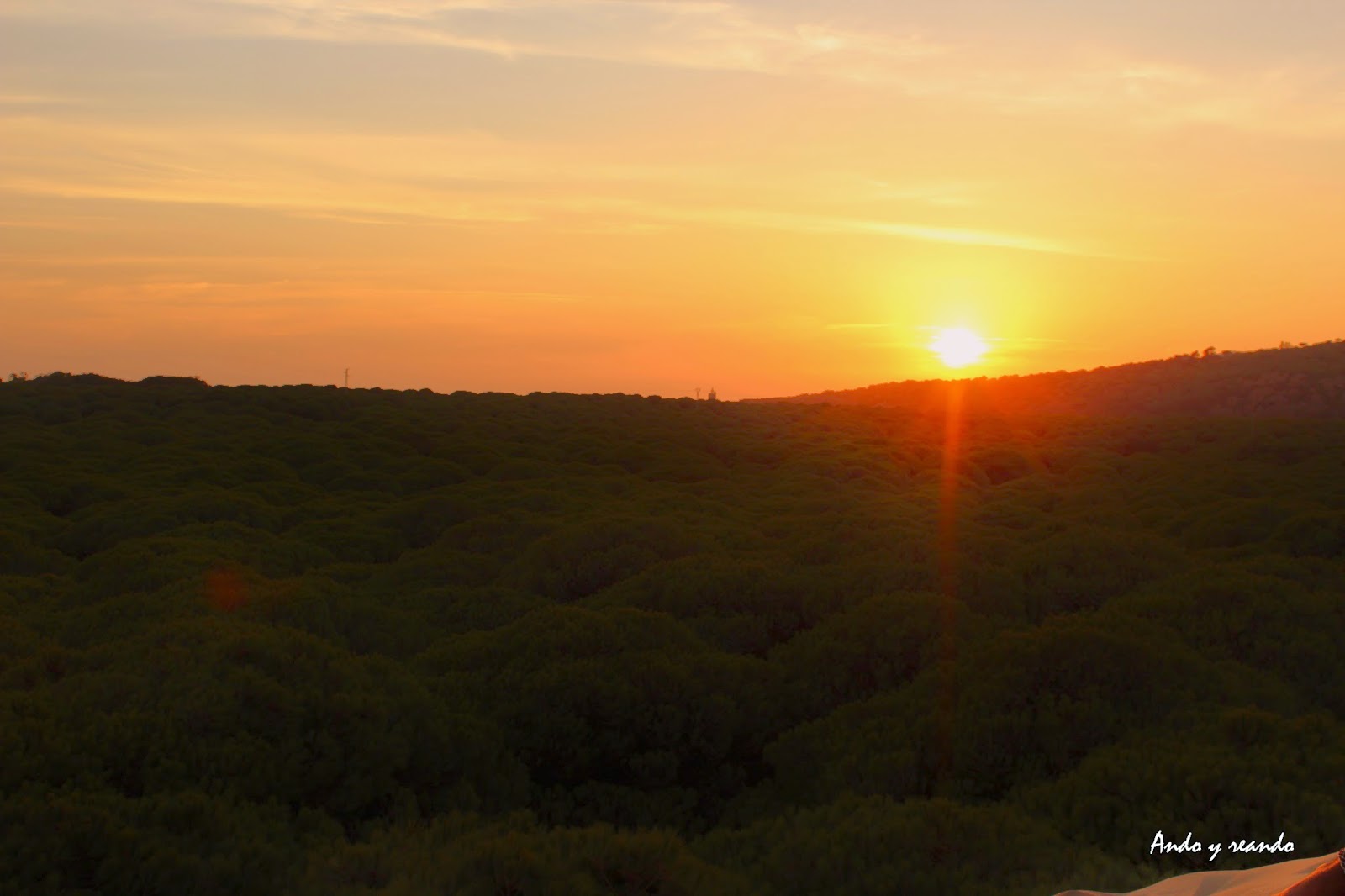 Puesta de sol en la Duna de Bolonia