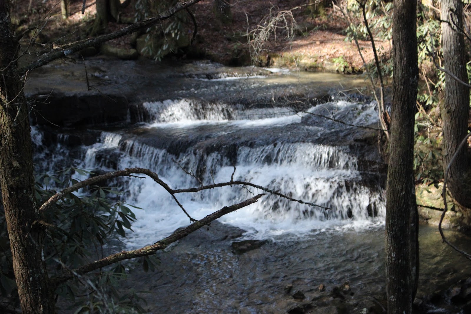 Cumberland Gal Yellow Creek Falls and Bullett Creek Falls in the