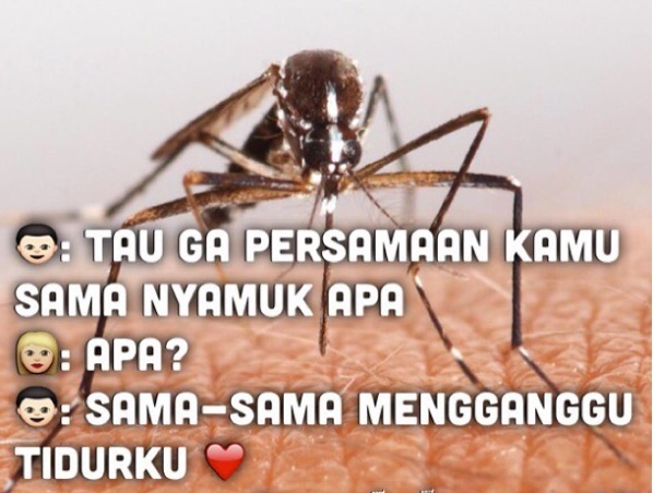 15 Meme �Chat Gombal� yang Maut Abis, Jomblo Merapat!