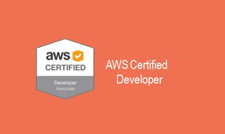  AWS Certified Developer Online Training