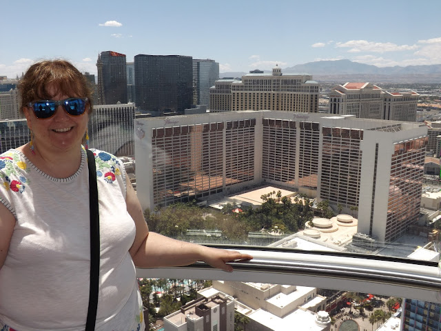 View from the High Roller