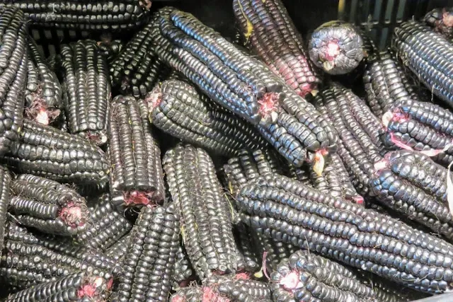 Peru food: Peruvian purple corn