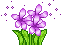 Flor%252520%25252863%252529_thumb.gif?im