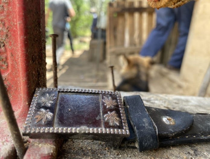 blog del narco tamaulipas 2016 blog del narco tamaulipas 2016