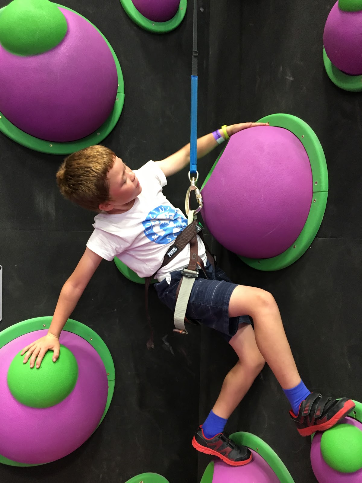 Family Adventures in the Canadian Rockies Calgary's Newest Family