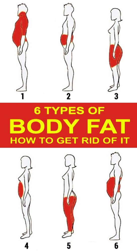 6 Types Of Body Fat And How To Get Rid Of It Healthy Lifestyle 