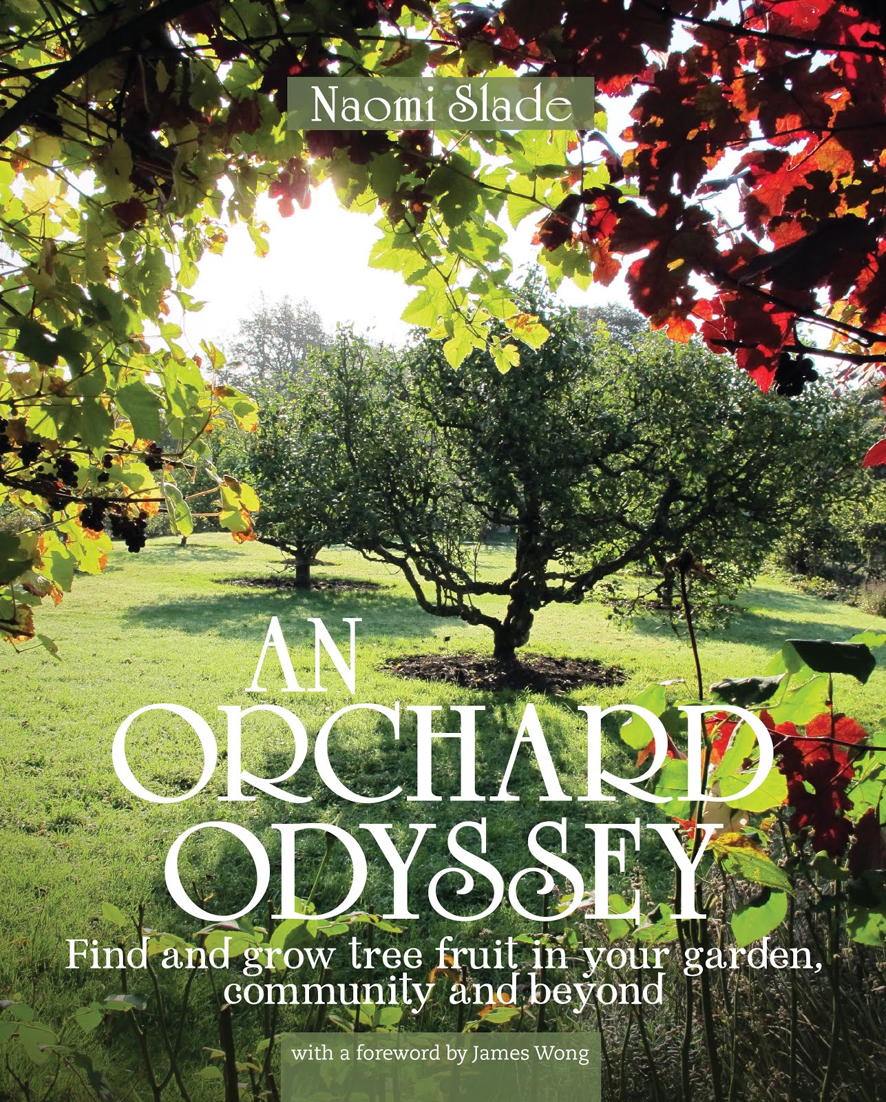 An Orchard Odyssey