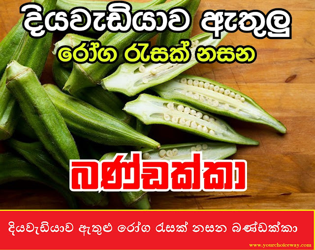 දියවැඩියාව ඇතුළු රෝග රැසක් නසන බණ්ඩක්කා (Bandakka[Okra]) - Your Choice Way