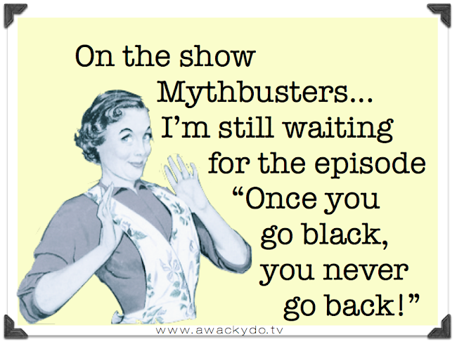 mythbusters show once you go black you never go back, myth busters 