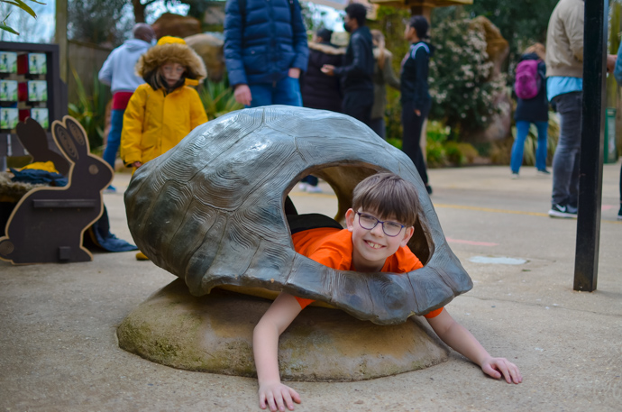Colchester zoo, visit Essex, Colchester with children Colchester zoo, visit Essex, Colchester with children