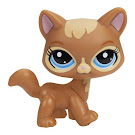 Littlest Pet Shop Singles Cat (#3578) Pet