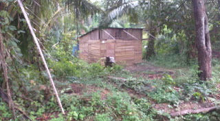 IRT di Aceh Timur Diperkosa, Pelaku Turut Membacok Anak Korban yang Ingin Menolong Ibunya Oktober 10, 2020