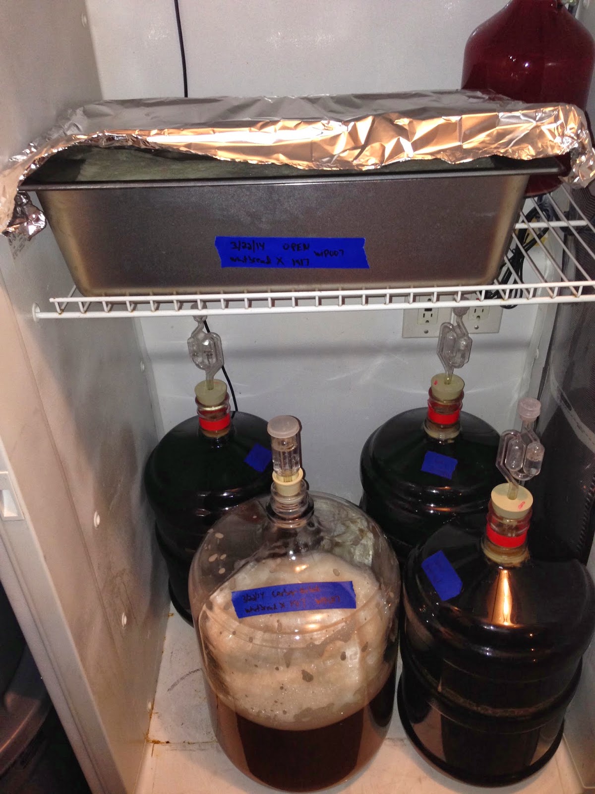 Lady Luck Brewing The beer engine yeast experiment 1917 Whitbread X