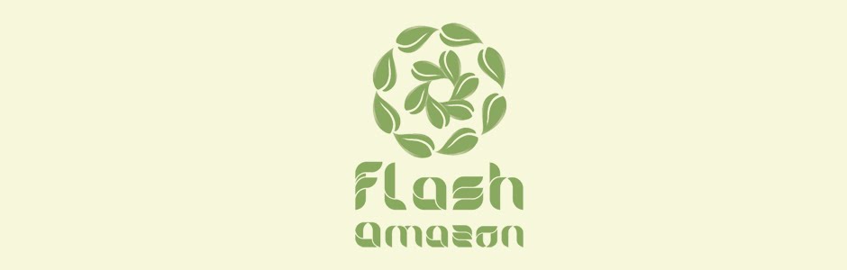 Flash Amazon